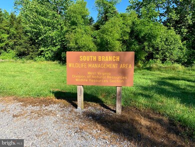 0 Nathaniel Mountain Rd unit WVHD106070, Moorefield, WV 26836 - photo 5