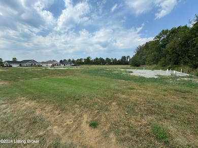 13 Red Leaf Dr, Carrollton, KY 41008 - photo 2