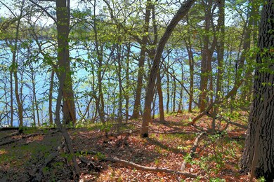 40039 County Road 17, Browerville, MN 56438 - photo 5