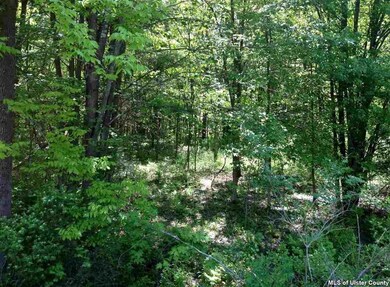 TBD Lucas Ave, Accord, NY 12404 - photo 5