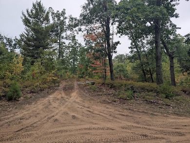 V/L 10AC Reilly Rd, Denton Township, MI 48651 - photo 3