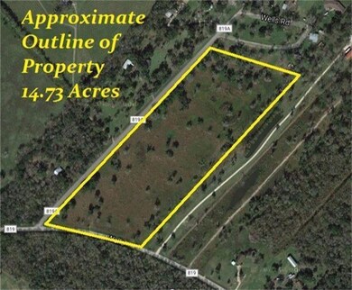 1216 County Road 819a, Brazoria, TX 77422 - photo 4