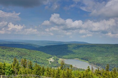 366-ML-View