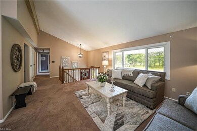Spacious living room.  Hard wood floors under the 