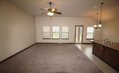 4503 Hawk Owl Dr, Norman, OK 73072 - photo 4