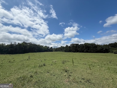 2004 Christian Rd, Dewy Rose, GA 30634 - photo 4