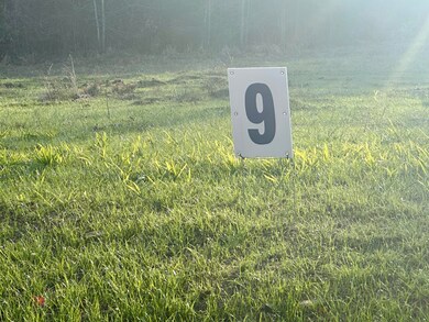 Lot 9 Hensley Rd, East Bernstadt, KY 40729 - photo 3