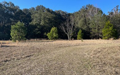 820 NW Frontier Dr, Lake City, FL 32055 - photo 6