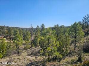 3326 Black Canyon Rd, Heber-Overgaard, AZ 85928 - photo 2