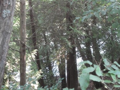 13031 Vergennes St SE, Lowell, MI 49331 - photo 2