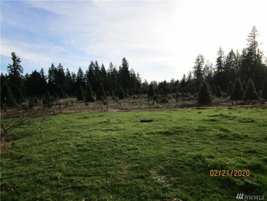 0 115th Ave SE, Littlerock, WA 98556 - photo 2