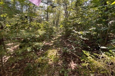 38E Maine 32, Round Pond, ME 04564 - photo 7