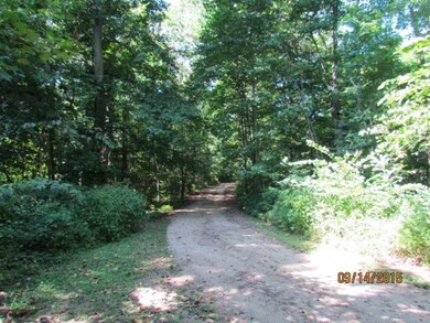 IMG_3196 (Medium)