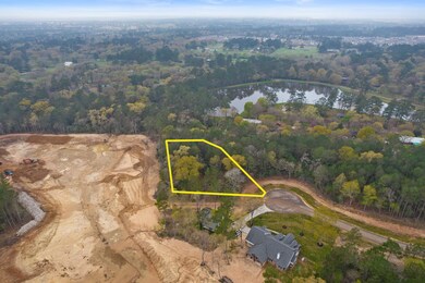 Property back to unobstructed views of the lake that is coming soon!
