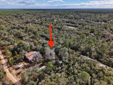 0 NE 233rd Ln unit 25700426, Fort Mc Coy, FL 32134 - photo 4