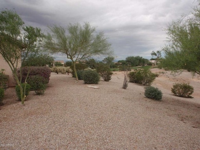 P9170561