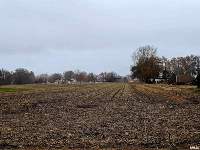 1600 E Walnut St, Canton, IL 61520 - photo 3