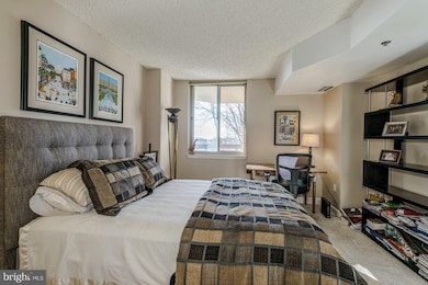 The Williamsburg unit 417, Arlington, VA 22201 - photo 7