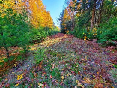 old road not used