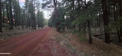 155 E Ski Run Rd, Williams, AZ 86046 - photo 7