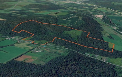 00 Town Line Rd, McGraw, NY 13101 - photo 4