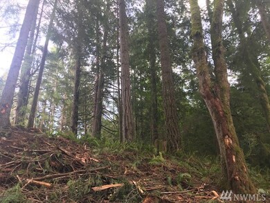 0 SW Spruce Rd unit 1524651, Port Orchard, WA 98367 - photo 4