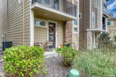 8338 Rivulet Point, Highlands Ranch, CO 80129 - photo 5