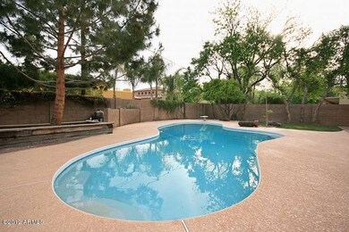 Lovely Backyard