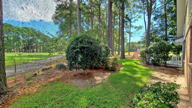 View of back yard