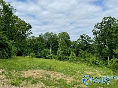 646 Keel Mountain Rd, Gurley, AL 35748 - photo 7