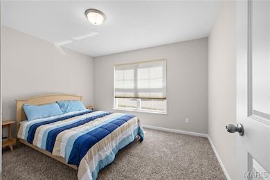 3422 Chippewa Dr, Belleville, IL 62221 - photo 4