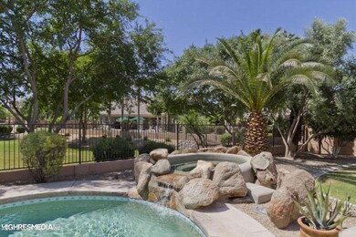 Spa and tropical back yard
