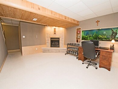 Family Room Downstairs has a Gas Fireplace But ALS