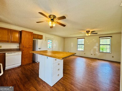 391 S Brown Ave, Sycamore, GA 31790 - photo 2