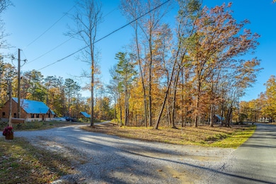 382 Plum Nelly Rd, Rising Fawn, GA 30738 - photo 6