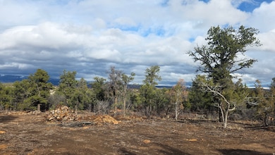 95 Wray Mesa Rd unit 10, La Sal, UT 84530 - photo 5