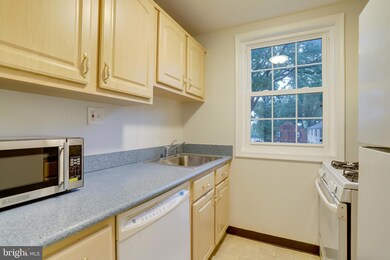 206 N Trenton St unit 2062, Arlington, VA 22203 - photo 5