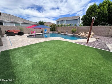 Backyard 1