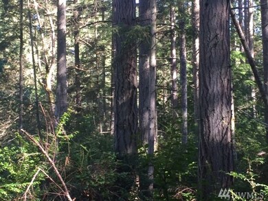 0 Crawford Rd unit 1034487, Langley, WA 98260 - photo 6