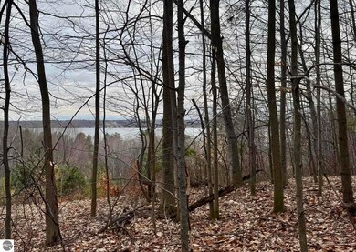 0 E Hidden Beach Rd, Cedar, MI 49621 - photo 6