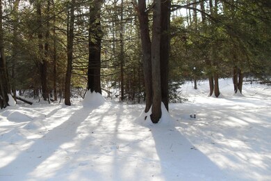 139 Taylor Ln, Sweet Valley, PA 18656 - photo 3