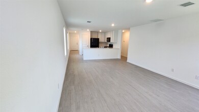 3013 Burmese St, Providence Village, TX 76227 - photo 5