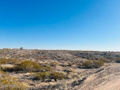 4320 Rc Gorman Loop, Las Cruces, NM 88011 - photo 5