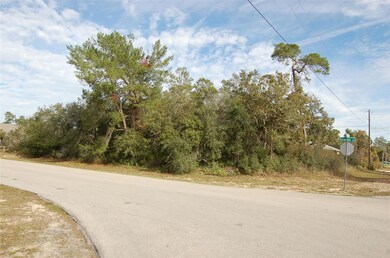 0 SW Marion Oaks Ln unit MFROM668948, Ocala, FL 34473 - photo 2