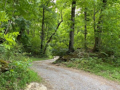 397 New Herman Rd, Shelbyville, TN 37160 - photo 5