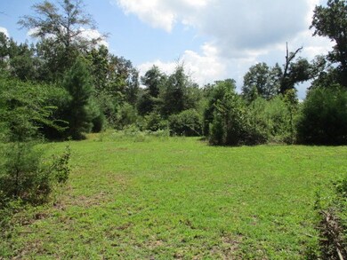 1305 S County Line Rd, Albany, GA 31705 - photo 3