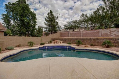 Swimming Pool Area