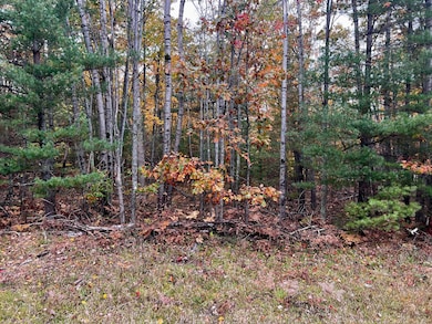 2534 E Mullett Lake Rd, Indian River, MI 49749 - photo 6