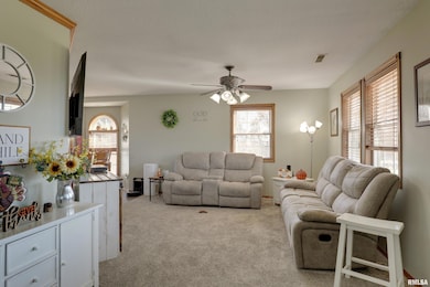 2882 E 1100th St, Loraine, IL 62349 - photo 4