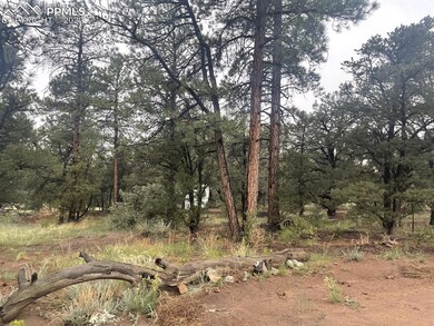 more trees